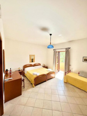 B&B Vini Marino